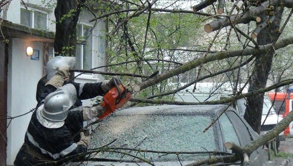Спасатели в Ивано-Франковске извлекают людей и автомобиля, на который упало дерево