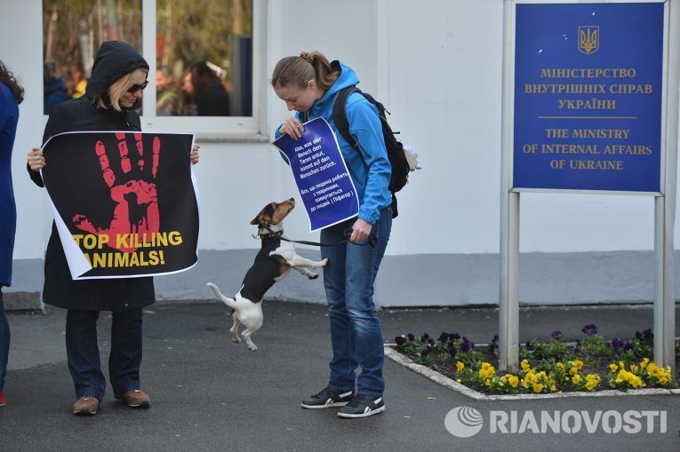 Митинг против травли собак