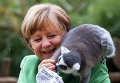 Ангела Меркель кормит лемура