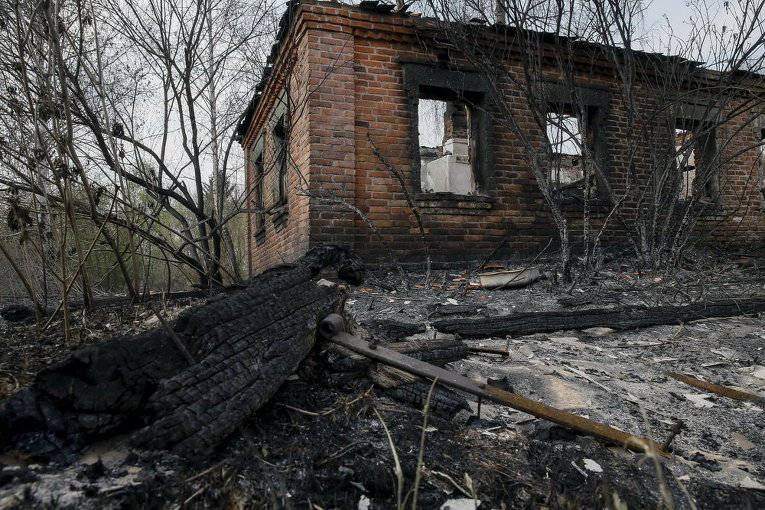 Последствия пожаров в Лубянке близ Чернобыля