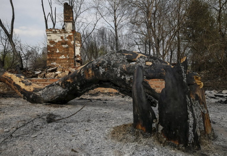 Последствия пожаров в Лубянке близ Чернобыля