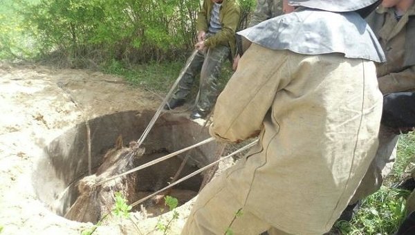 Житомирские спасатели спасли лошадь, провалившуюся в канализационный колодец