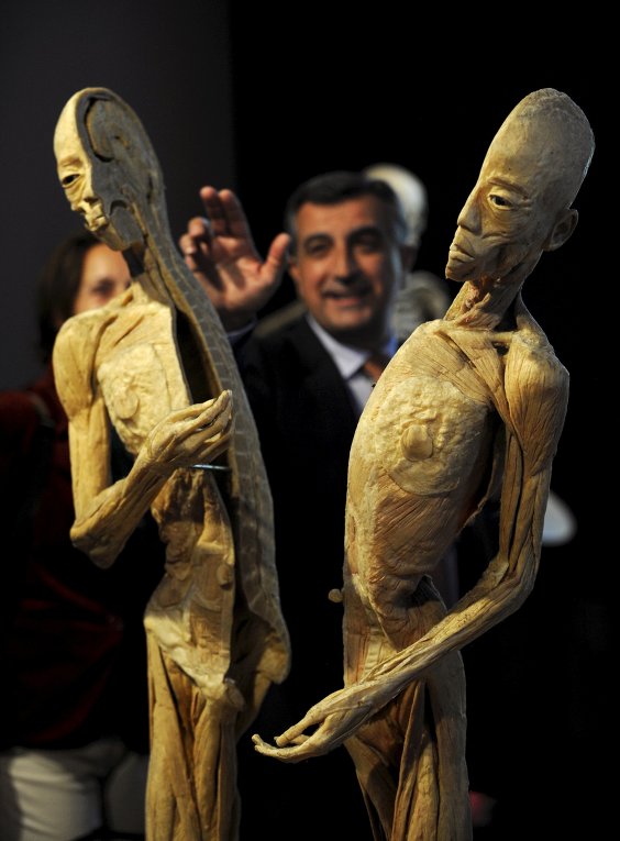 в Испании открылась уникальная выставка, рассказывающая о человеческом теле.