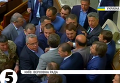 Депутаты устроили потасовку в Раде. Видео