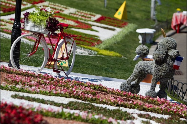 В Киеве отметили 65-летие создания Евросоюза выставкой цветов
