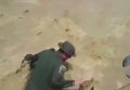 Колумбийские полицейские спасли собаку, попавшую в бурную горную реку. Видео