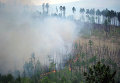 Лесные пожары в России. Архивное фото