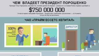 Инфографика. Чем владеет президент Порошенко