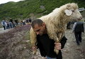Мужчина несет жертвенного барана во время религиозного праздника в селе Млета, Грузия