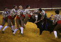 Члены группы Forcados Portalegre выполняют перформанс во время боя быков в Лиссабоне