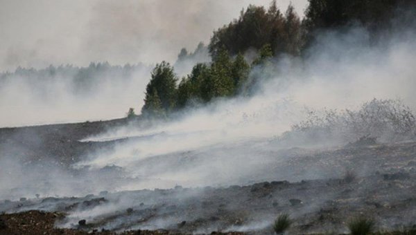 В Киевской области горит торф