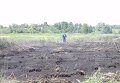Пожар на торфяниках под Киевом