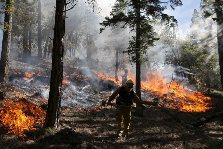 Лесной пожар возле озера Дженкс в национальном лесу в Калифорнии, США