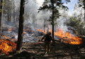 Лесной пожар возле озера Дженкс в национальном лесу в Калифорнии, США