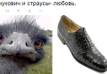 Фотожабы на слова Виктора Януковича о страусах