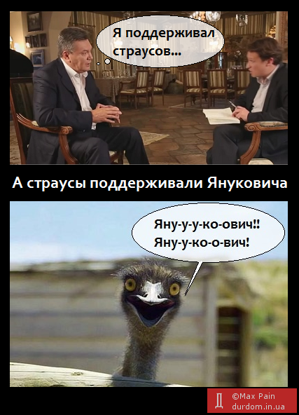 Фотожабы на слова Виктора Януковича о страусах