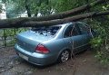 Ураган в Перми