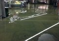 Потоп в Сочи. Ситуация в аэропорту