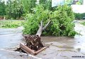 Последствия урагана в Луганске