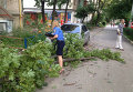 В Харькове на женщину и ребенка упало дерево