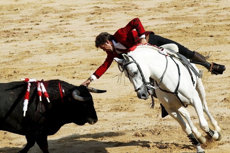 Коррида и забег с быками во время фестиваля Сан-Фермин в Испании