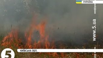 Пожарная опасность в Киевской области. Видео