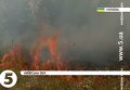 Пожарная опасность в Киевской области. Видео