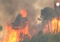 Испания: жара мешает пожарным справиться с огнем