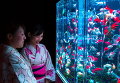 Выставка Art Aquarium в Токио
