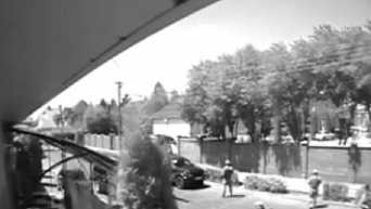 Перестрелка Правого сектора в Мукачево: видео с камер наблюдения. Видео