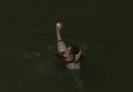 Болельщик бейсбола прыгнул за мячем в реку
