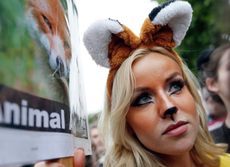 Протест перед зданием парламента в Лондоне в связи с рассмотрением закона об охоте на лис