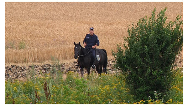 Ж/д пути на границе с Донецкой областью охраняют конные патрули