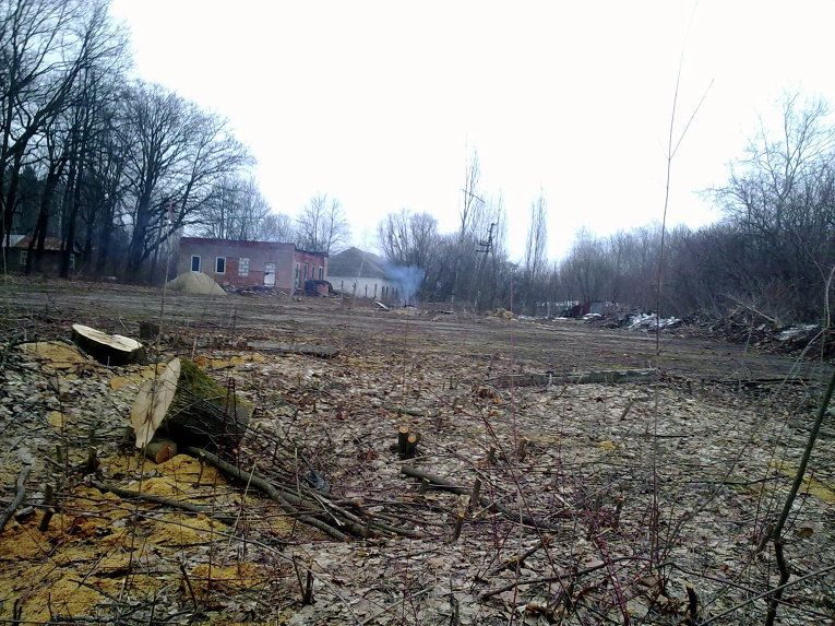 Уничтожение деревьев под Харьковом