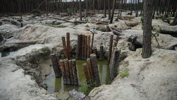 Добыча янтаря в Житомирской области