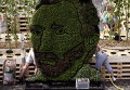 Портрет Винсента Ван Гога из растений в Монсе, Бельгия