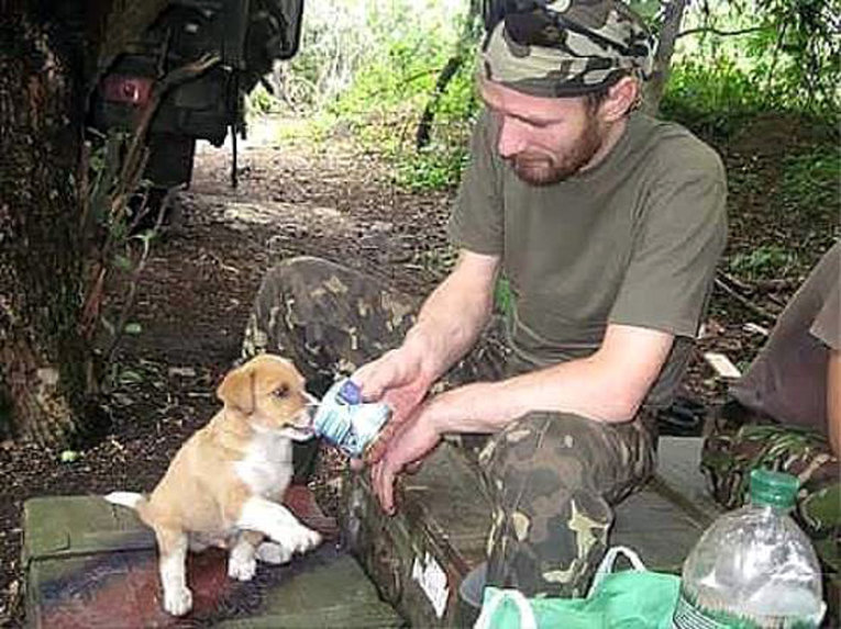 Животные, прирученные украинскими военными в зоне АТО