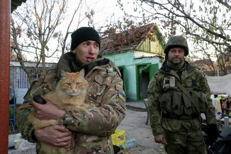 Животные, прирученные украинскими военными в зоне АТО