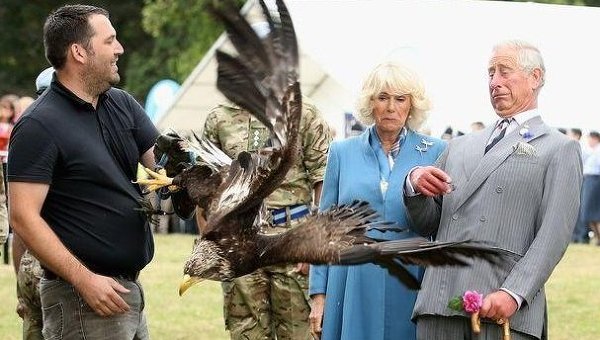 На принца Чарльза напал орел