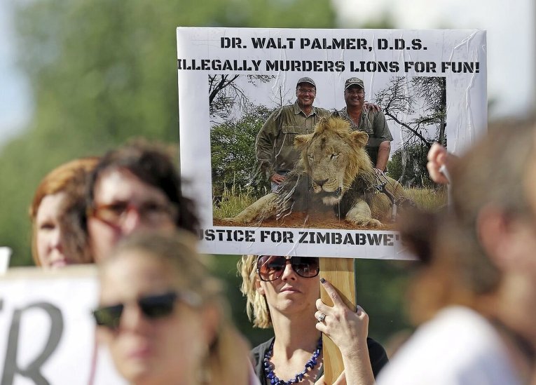 Акции возле клиники где работает убийца льва в Зимбабве