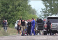 Столкновения силовиков и янтарной мафии в Ровенской области