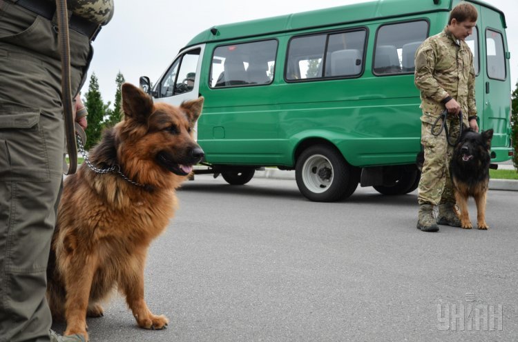 Овчарки с кинологического центра в Межигорье будут служить в пограничных войсках и в зоне АТО