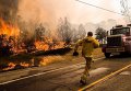 Тушение лесного пожара в графстве Лэйк Каунти в Калифорнии