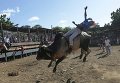 Мужчина ездит верхом на быке во время торжеств в честь Санто Доминго де Гусман, святого покровителя Манагуа, столицы Никарагуа