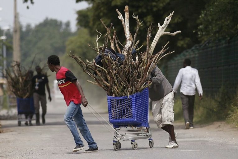 Мигранты перевозят дрова к месту проживания возле портового города Кале во Франции