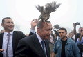 Тетерев на голове у президента Турции Тайипа Эрдогана во время его посещения центра Министерства лесного и водного хозяйства в Ризе, Турция