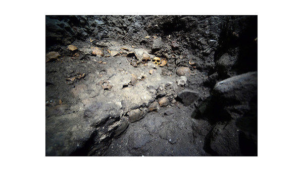 Стену из человеческих черепов времен Империи ацтеков