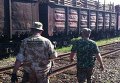 Незаконная вырубка леса в Житомирской области