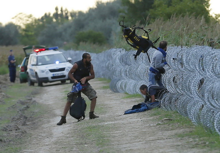 Венгерские полицейские и сирийские мигранты на венгерско-сербской границе