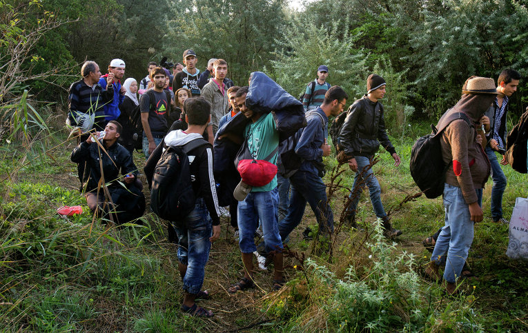 Сирийские беженцы на сербско-венгерской границе